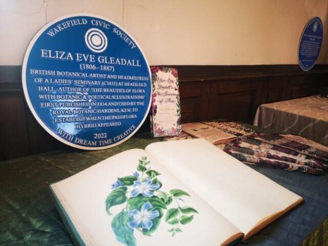 Eliza Gleadall Blue Plaque and flower illustration