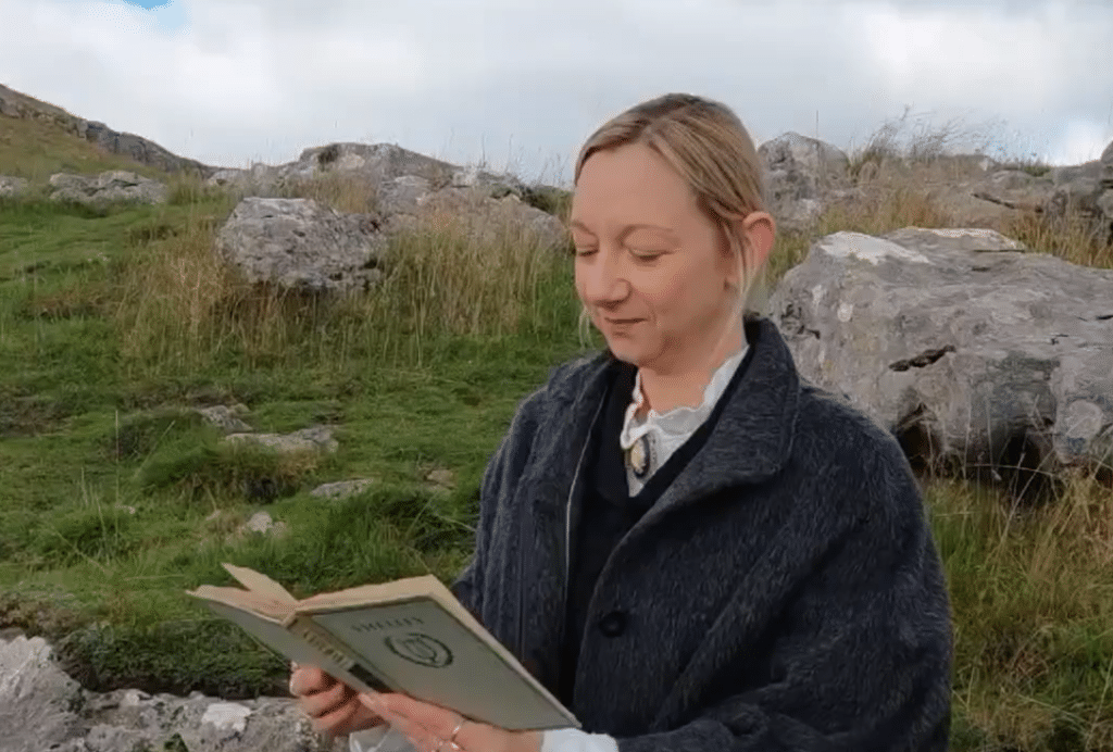 Books about Women's History and Experiences
